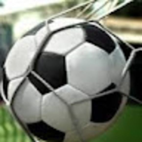 Meet your Posher, Bobbie - Picture 1 of 1